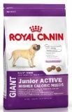 Сухой корм для щенков Royal Canin Giant Junior Active 15 кг.