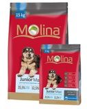 Сухой корм для щенков Molina Junior Maxi